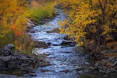 Day 293: A creek in Fall