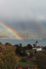 Regenbogen - Rainbow über dem Thunersee mit Schloss Spiez ( Baujahr Ursprung 10. Jahrhundert - château castello castle ) in Spiez im Berner Oberland im Kanton Bern der Schweiz