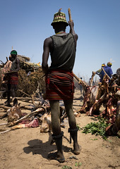 Man attending Dassanech Proud Ox celebration, Salheng,Turkana County, Omorate, Ethiopia