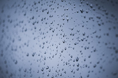 Rainglass [22/31] (295/365)