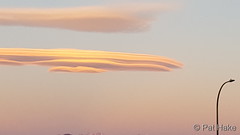October 17, 2017 - Lenticular clouds on the horizon at sunrise. (Pat Hake)