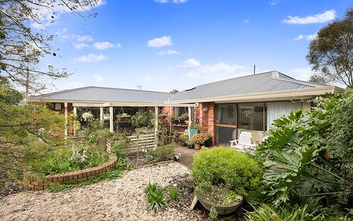 18 Wolbers Rd, Dingley Village VIC 3172