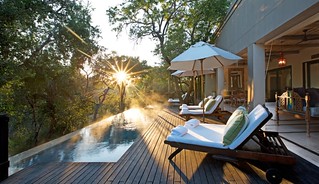 South Africa Luxury Photo Safari 12