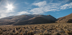 Pueblo Mountains, in the Pueblo Mountain Wilderness Study Area