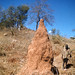 Batonga tribesman displaced by Kariba lake. Termite mound. 1960