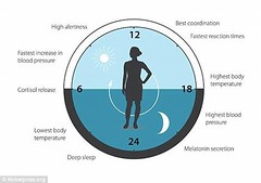 Anglų lietuvių žodynas. Žodis biological clock reiškia biologinis laikrodis lietuviškai.