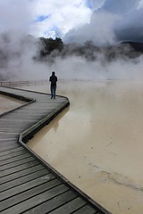 Thermal Wonderland / Rotorua