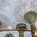 Gardens by the Bay, SIngapore