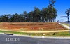 Lot 301 Wedgetail Drive, Lakewood NSW