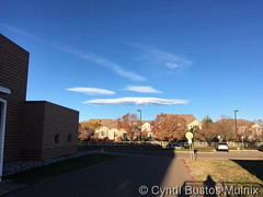 October 17, 2017 - Lenticular clouds on the horizon at sunrise.  (Cyndi Bustos Mulnix)