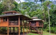 33 Carbeen Road, Daintree QLD