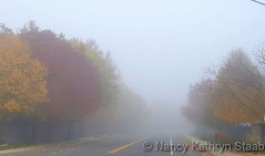 October 14, 2017 - A gorgeous foggy scene. (Nancy Kathryn Staab)