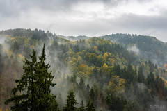 Autumn fog