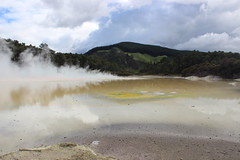Thermal Wonderland / Rotorua