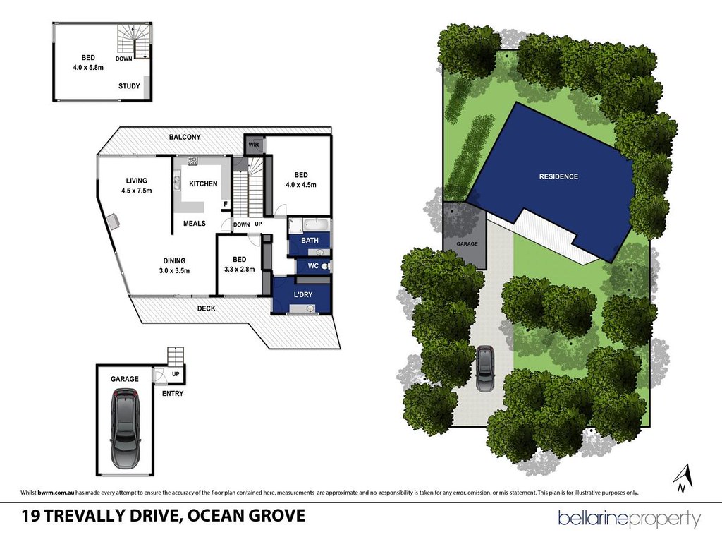 19 Trevally Drive, Ocean Grove VIC 3226 floorplan