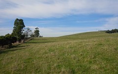 Lot 1 Cahills Outlet Road, Kardella South Vic