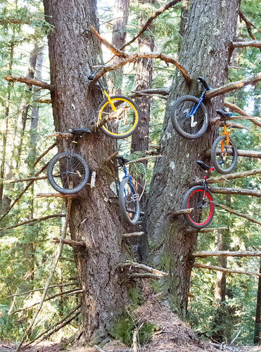 Unicycle tree