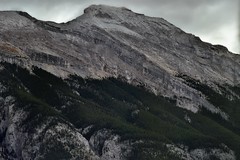 Looking Across and Up the Side of Mount Rundle (Banff National Park)