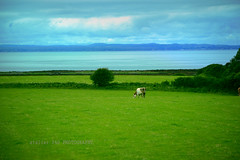 landscape - Ireland