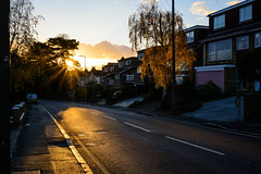 Street sunset (329/365, November 25th)
