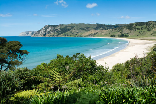 Nouvelle Zélande- Pacific Coast Highway