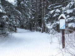 Anglų lietuvių žodynas. Žodis skiing reiškia n slidinėjimas; to go skiing slidinėti lietuviškai.
