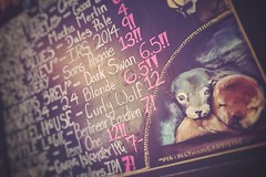 beer list [Day 3243]