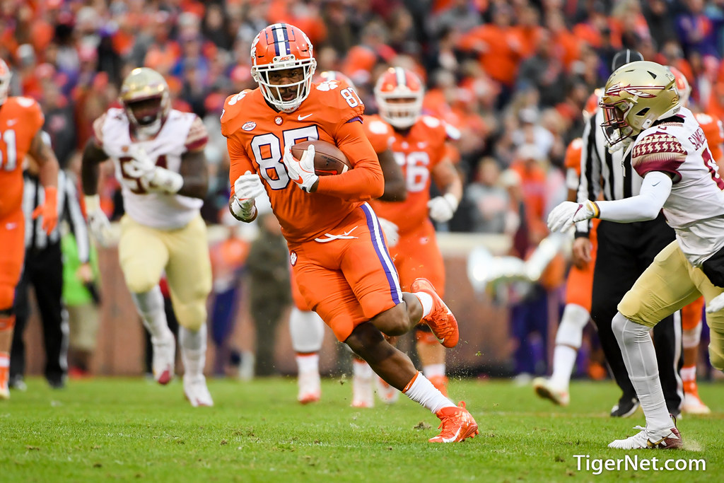 Clemson Football Photo of djgreenlee and Florida State