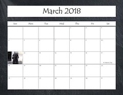 2018 Calendar_Page_07 • <a style="font-size:0.8em;" href="http://www.flickr.com/photos/109220014@N05/38613454342/" target="_blank">View on Flickr</a>