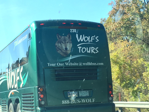 Wolf's Tours