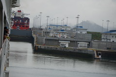Disney Wonder in the Cocoil Locks on the Pacific Side of the Panama Canal • <a style="font-size:0.8em;" href="http://www.flickr.com/photos/28558260@N04/38036975124/" target="_blank">View on Flickr</a>