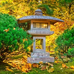 Japanese Garden Sunrise 4571 B