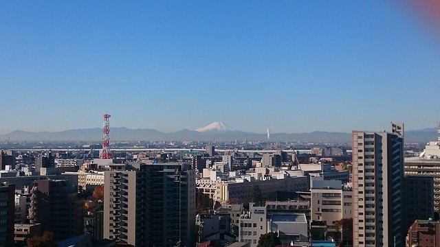 富士山をバックに、自慢のマークスです。