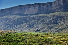 A Raven Flying and Soaring Above Big Bend National Park and the Sierra Ponce Cliffs