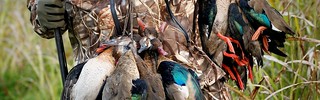 Argentina Mixed Bag Wingshooting - Buenos Aires 35