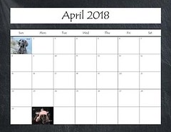 2018 Calendar_Page_09 • <a style="font-size:0.8em;" href="http://www.flickr.com/photos/109220014@N05/38613454252/" target="_blank">View on Flickr</a>