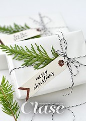 DIY+gift+tags+using+the+Cricut!+From+TodaysCreativeLife