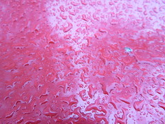 November 13: Water Droplets