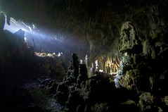Windsor Cave II