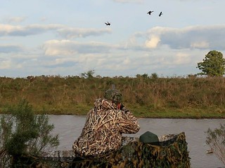 Argentina Mixed Bag Wingshooting - Buenos Aires 14