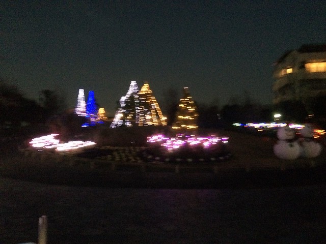 今夜の東松戸ゆいの花公園