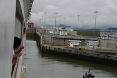 Disney Wonder in the Cocoil Locks on the Pacific Side of the Panama Canal • <a style="font-size:0.8em;" href="http://www.flickr.com/photos/28558260@N04/38036977374/" target="_blank">View on Flickr</a>