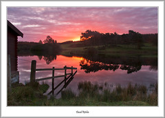 Pink Dawn At Knapps Loch