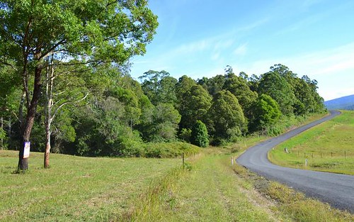 1281 Pappinbarra Road, Hollisdale NSW