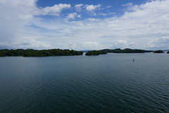 The Disney Wonder in Gatun Lake • <a style="font-size:0.8em;" href="http://www.flickr.com/photos/28558260@N04/38760850521/" target="_blank">View on Flickr</a>