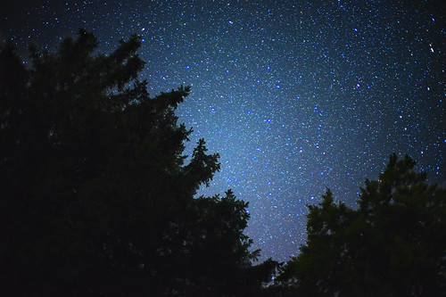 trees and stars