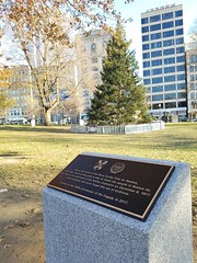 12-4-2017: Brand new commemoration for the Nova Scotia Christmas tree (and the tree itself). Boston, MA