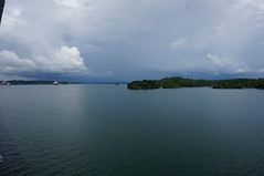 The Disney Wonder in Gatun Lake • <a style="font-size:0.8em;" href="http://www.flickr.com/photos/28558260@N04/38760853371/" target="_blank">View on Flickr</a>