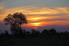 Kruger National Park - Sunset