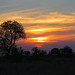 Kruger National Park - Sunset